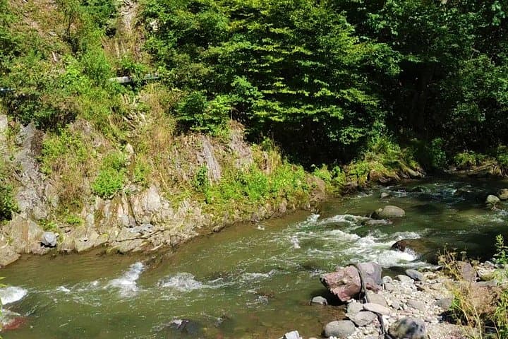 Georgia Wellness Escape: 8-Day Health & Spa Tour from Tbilisi photo 2