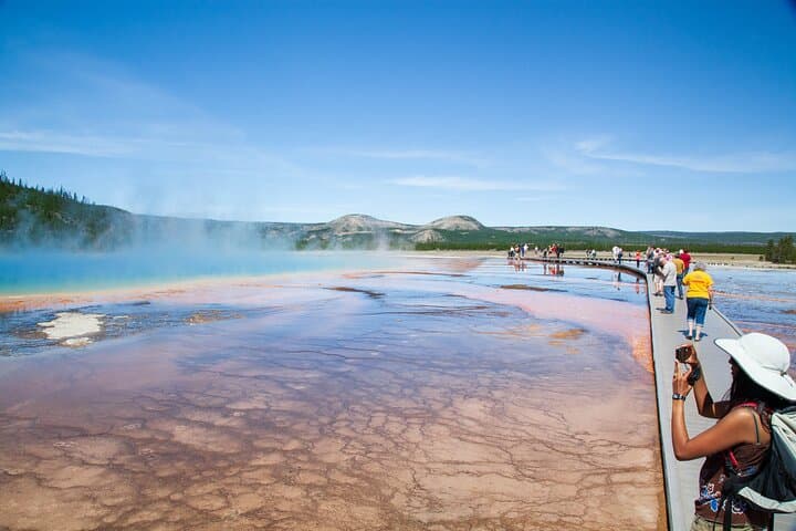 Best of Yellowstone Guided Tour from Bozeman — Full-Day Private Safari photo 2