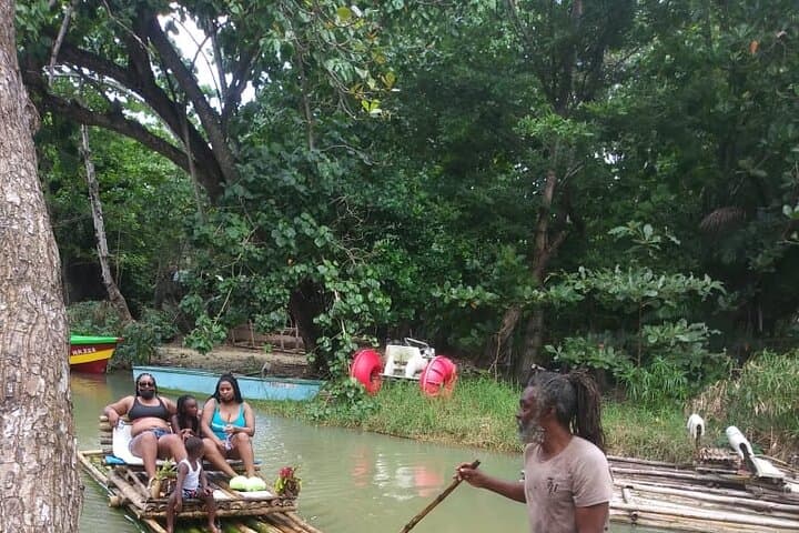 Explore Ocho Rios: Private Sightseeing Tour with Fern Gully & Jerk Lunch photo 6