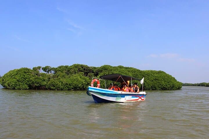 Muthurajawela Wetlands Bird-Watching Boat Tour from Negombo photo 2