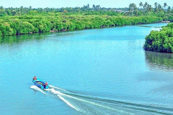 Muthurajawela Wetlands Bird-Watching Boat Tour from Negombo photo 3