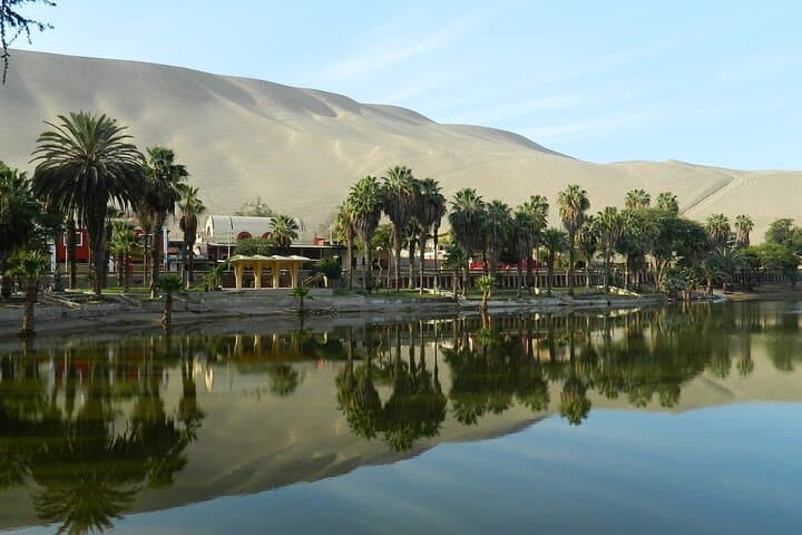 Huacachina Dune Buggy & Ballestas Islands Day Tour — Sandboarding & Coastal Wildlife from Lima photo 4