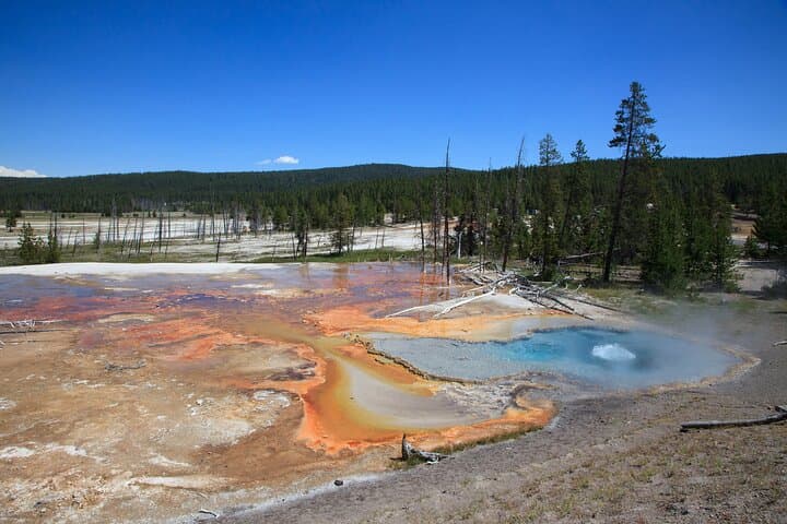 Best of Yellowstone Guided Tour from Bozeman — Full-Day Private Safari photo 5