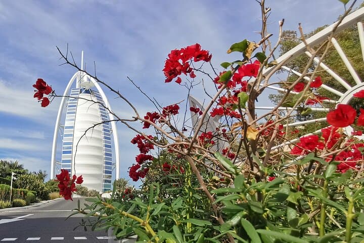 Dubai Top Five Attractions: Burj Khalifa, Aquarium, Miracle Garden & Global Village photo 2