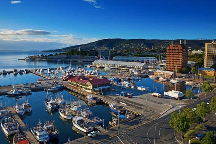 Hobart Mount Wellington Bike Tour: 3-Hour Small-Group Shore Excursion photo 3