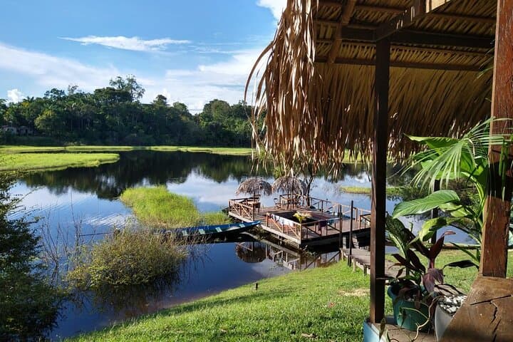 Overnight at Juma Lake Lodge: 2-Day Amazon Canoe, Wildlife & Jungle Trek photo 2