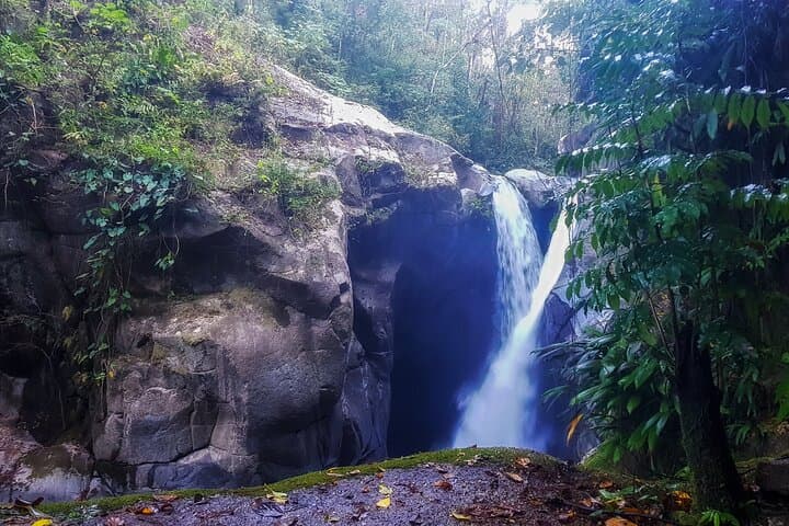 Minca Full-Day Hiking Tour: Coffee, Cocoa & Lost Waterfall Experience photo 4