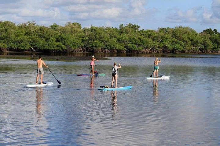 Full-Day Paddleboard Rental in Naples: Tin City to Keewaydin Island photo 3