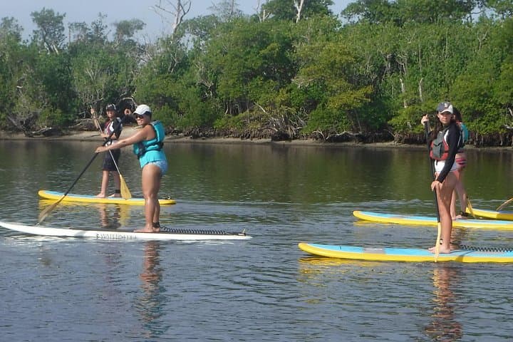 Full-Day Paddleboard Rental in Naples: Tin City to Keewaydin Island photo 4