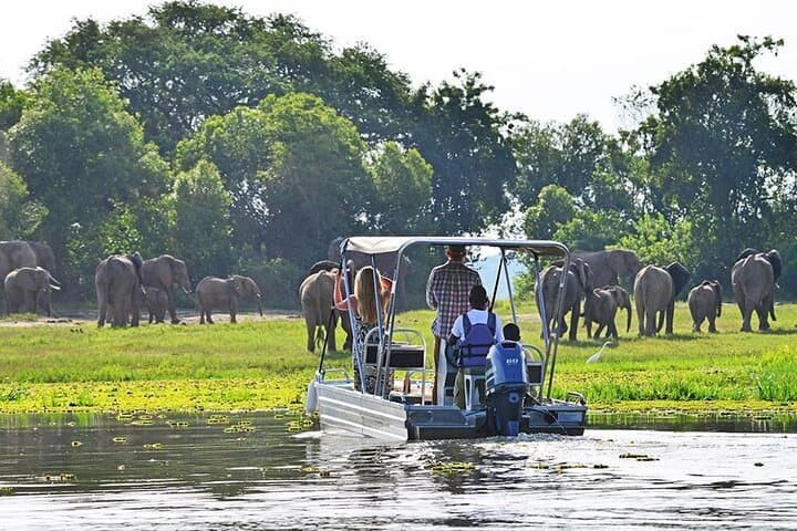 5-Day Wildlife & Gorilla Safari — Bwindi to Queen Elizabeth (Uganda) photo 6