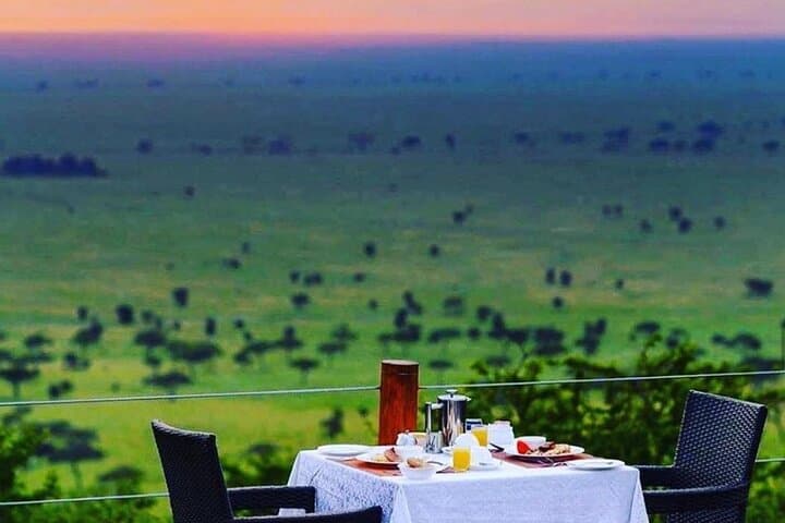 5-Day Wildlife & Gorilla Safari — Bwindi to Queen Elizabeth (Uganda)