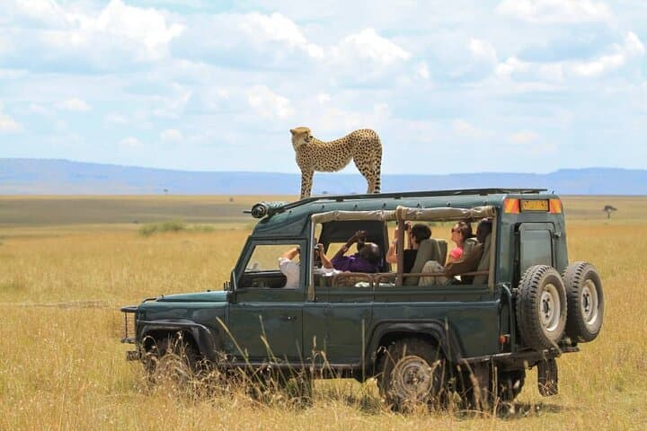 5-Day Wildlife & Gorilla Safari — Bwindi to Queen Elizabeth (Uganda) photo 2