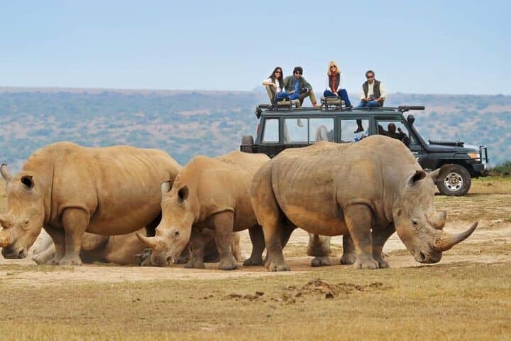 5-Day Wildlife & Gorilla Safari — Bwindi to Queen Elizabeth (Uganda) photo 4