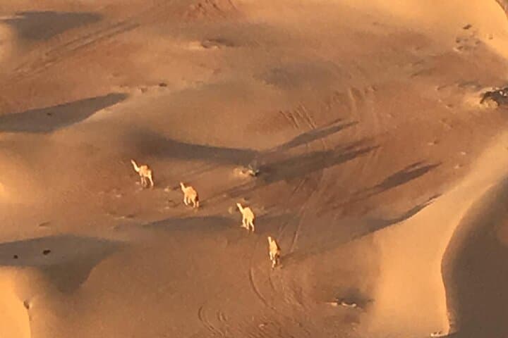 Sunrise Hot Air Balloon Over Dubai Desert: 60-Min Flight & Oasis Views photo 5