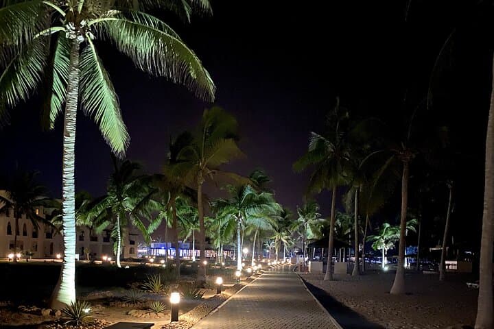 Salalah Night Tour — Private Evening Souq Walk, Dinner & Mountain Viewpoint photo 2