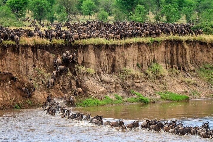 Chasing the Great Migration: 8-Day Serengeti Safari from Arusha photo 3