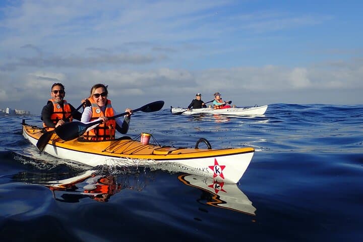 Kayak the Table Mountain Marine Reserve: Three Anchor Bay Coastal Paddle photo 2