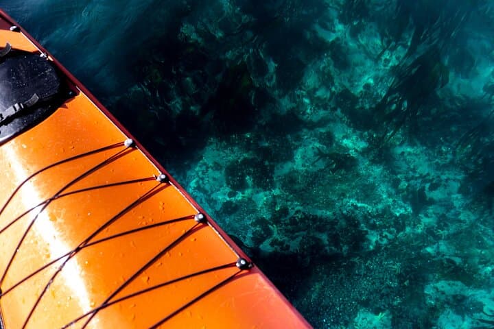 Kayak the Table Mountain Marine Reserve: Three Anchor Bay Coastal Paddle photo 3