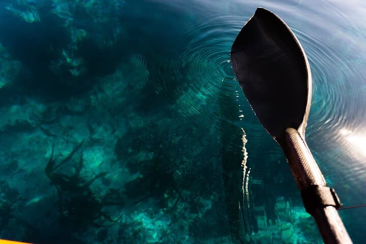 Kayak the Table Mountain Marine Reserve: Three Anchor Bay Coastal Paddle photo 4
