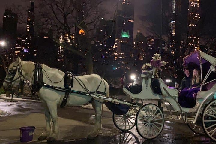 Evening Horse-Drawn Carriage Ride Through Central Park & Fifth Avenue, NYC photo 4