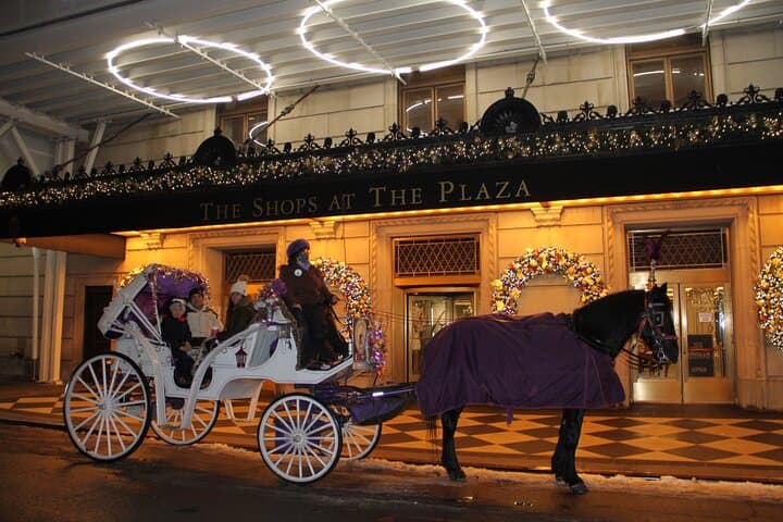 Evening Horse-Drawn Carriage Ride Through Central Park & Fifth Avenue, NYC photo 3