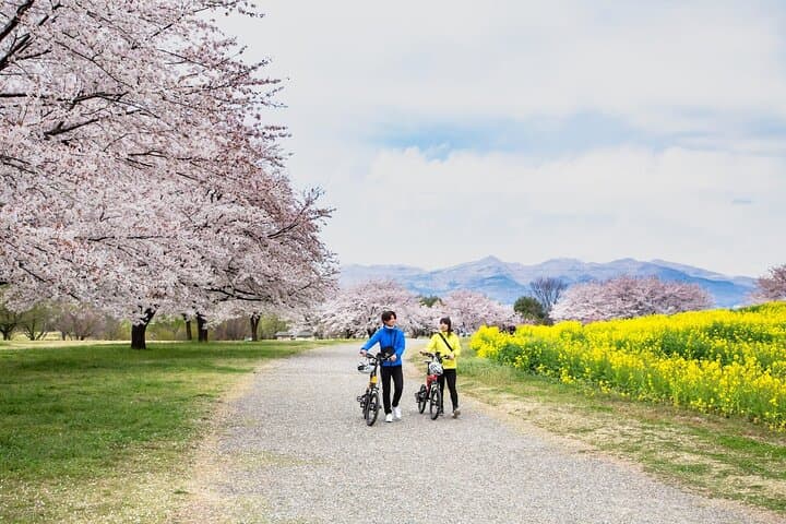 Akagi Countryside E-Bike Tour: Maebashi Rice Fields, Shrines & Brewery photo 3