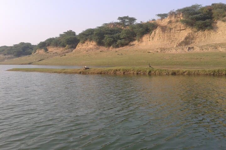 Chambal Safari and Bateshwar Temples: Same-Day Wildlife Cruise from Agra photo 4