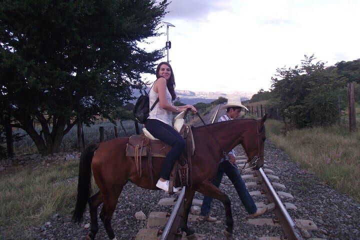 Horseback Through the Agave Fields: Tequila Route Ride with Tasting & Lunch