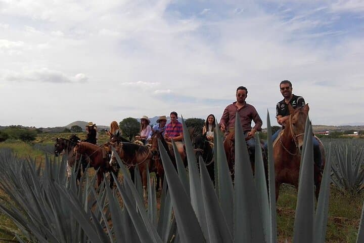Horseback Through the Agave Fields: Tequila Route Ride with Tasting & Lunch photo 2