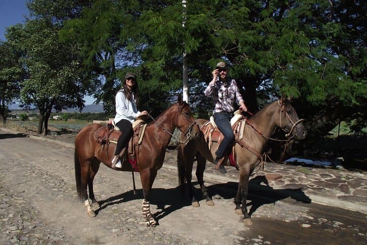 Horseback Through the Agave Fields: Tequila Route Ride with Tasting & Lunch photo 4