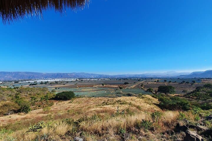Horseback Through the Agave Fields: Tequila Route Ride with Tasting & Lunch photo 6