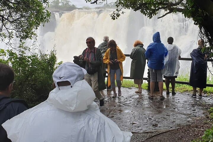 Victoria Falls Day Trip: Zambia & Zimbabwe Guided Falls Experience