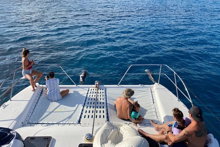 Private Sunset Catamaran Cruise in Waikiki — Turtles, Dolphins & Diamond Head Views photo 4