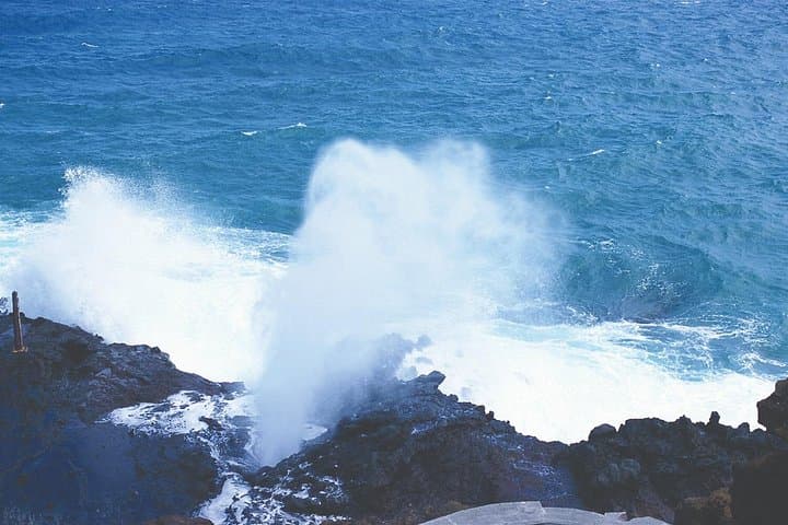 Oahu Grand Circle Island Tour — Full-Day Waikiki to North Shore photo 3