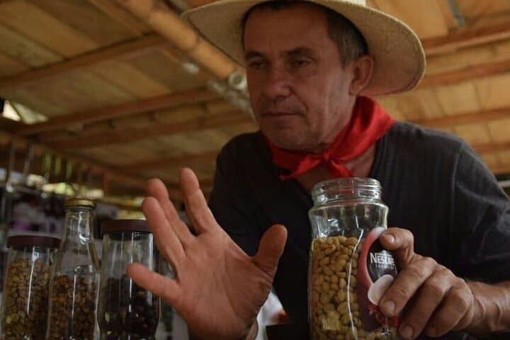 Medellín Coffee Tour: Full-Day Farm Experience in Antioquia photo 5