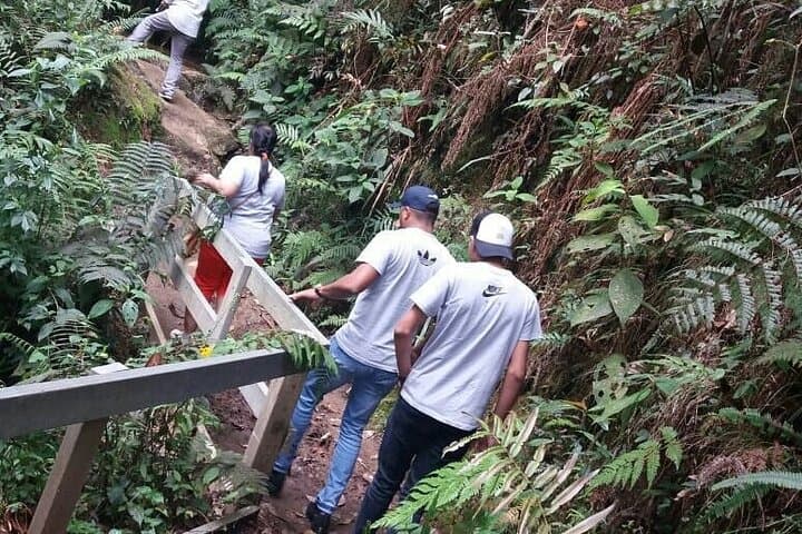 Medellín Coffee Tour: Full-Day Farm Experience in Antioquia photo 6