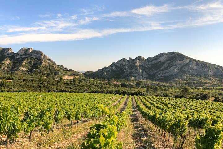 E-Bike the Alpilles: Saint-Rémy Vineyard & Wine-Tasting Loop photo 3