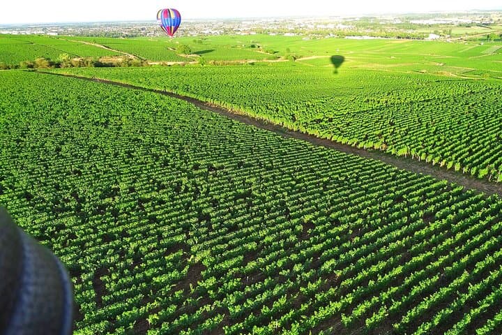 Burgundy Hot-Air Balloon Ride from Beaune: Sunrise Flight Over Vineyards photo 3
