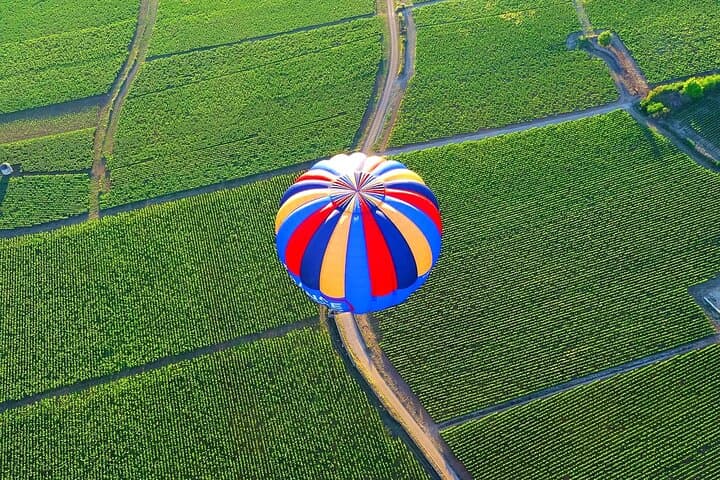 Burgundy Hot-Air Balloon Ride from Beaune: Sunrise Flight Over Vineyards photo 4