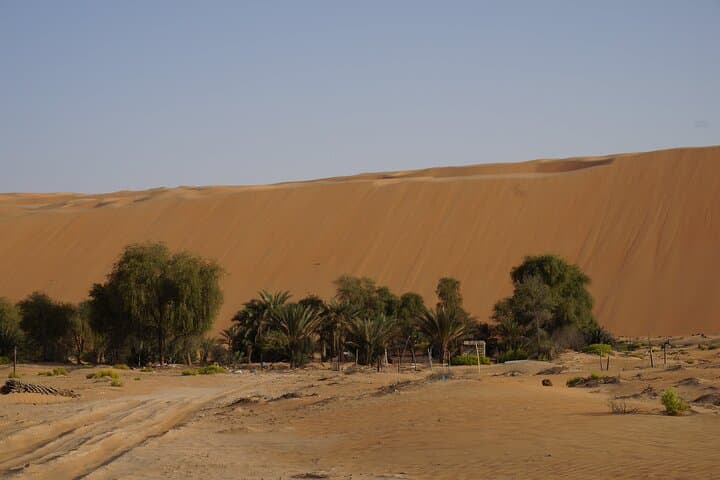 Liwa Full-Day Desert Safari from Abu Dhabi — Dune Bashing & Oasis Lunch photo 5