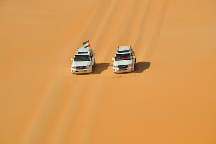 Liwa Full-Day Desert Safari from Abu Dhabi — Dune Bashing & Oasis Lunch photo 6