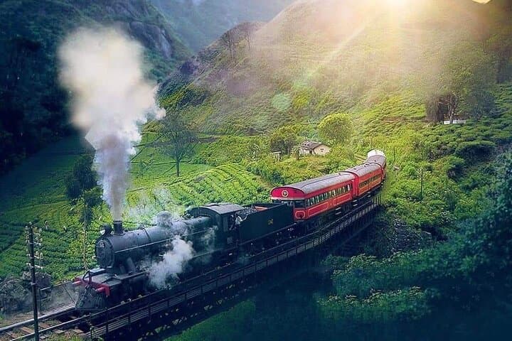12-Day Sri Lanka Round Trip: Tea Hills, Safaris & Southern Beaches