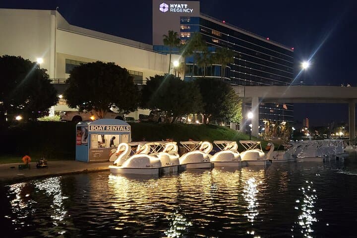Night Swan Boat Rental on Rainbow Lagoon — Long Beach LED Paddle Experience photo 6