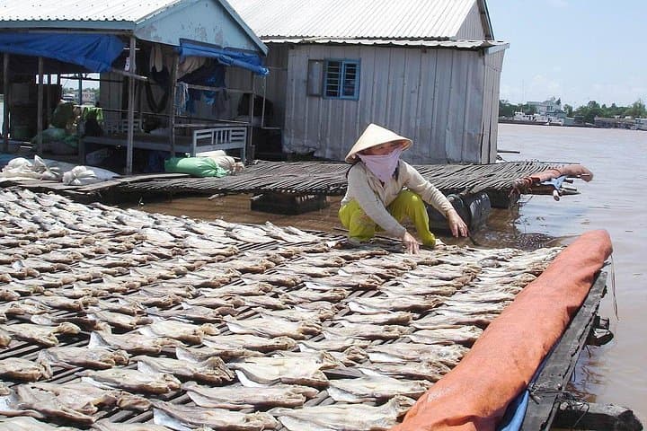 Mekong River Cruise: Can Tho to Chau Doc and Phnom Penh — 3-Day Delta Journey photo 4