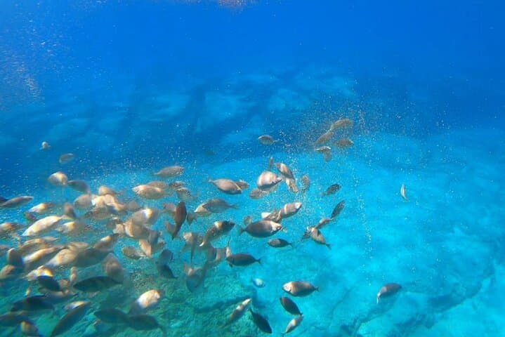 3-Hour Hippo Submarine Tour — Explore Lindos, Vlicha & Navarone Bay photo 2