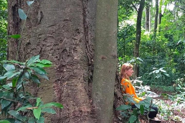 Rau Forest Bike Tour: Cycle Rice Fields, Colobus Monkeys & Kilimanjaro Views photo 4