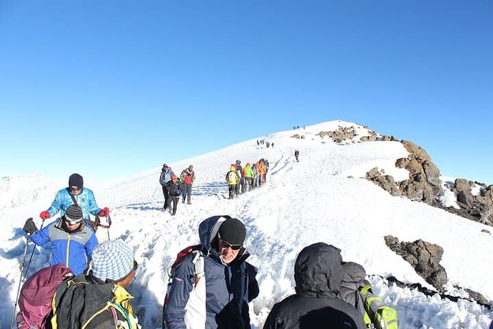 8-Day Lemosho Route Kilimanjaro Summit Trek: Complete Guide photo 3
