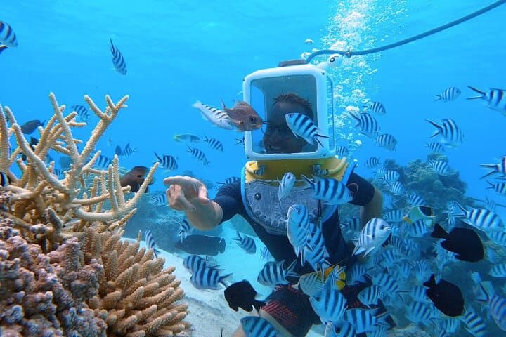 Bora Bora Aqua Safari: Private Helmet Diving in Coral Gardens photo 3