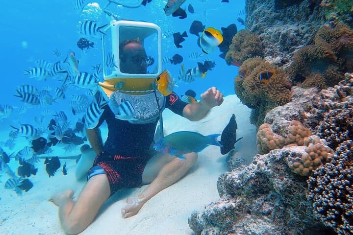 Bora Bora Aqua Safari: Private Helmet Diving in Coral Gardens photo 4
