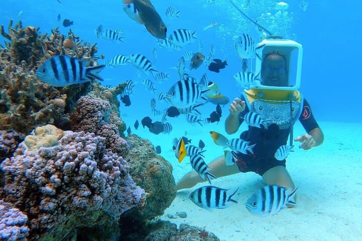 Bora Bora Aqua Safari: Private Helmet Diving in Coral Gardens photo 5